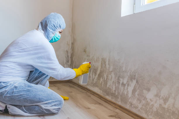 Hvac And Air Duct Mold Remediation inspection of HVAC system in Middleburg